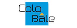 host logo ColoBale AG by ImproWare AG