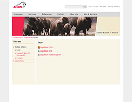 Website Printscreenhttp://www.bison-its.ch/