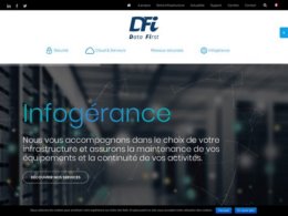 Website Printscreenhttps://www.dfi.ch/