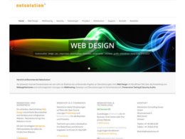 Website Printscreenhttps://www.netsolution.ch/